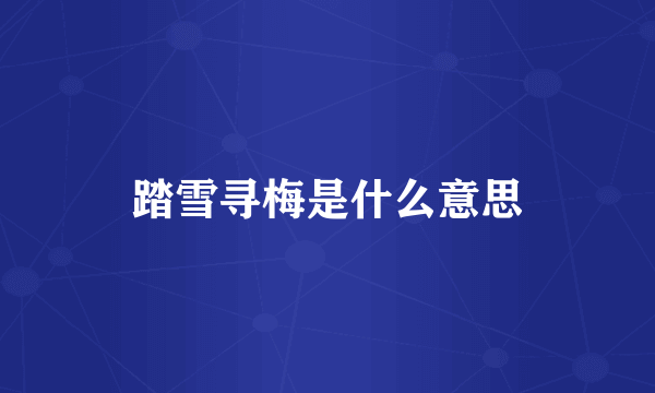踏雪寻梅是什么意思