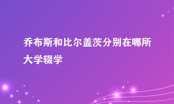 乔布斯和比尔盖茨分别在哪所大学辍学
