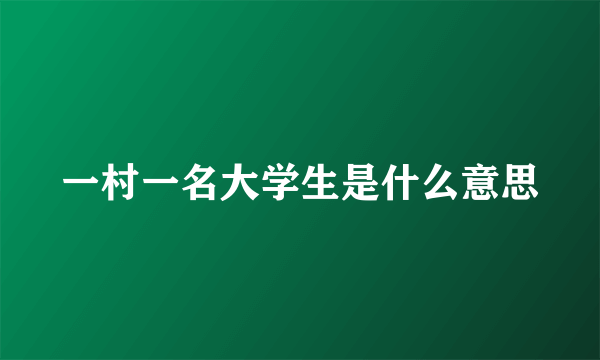 一村一名大学生是什么意思