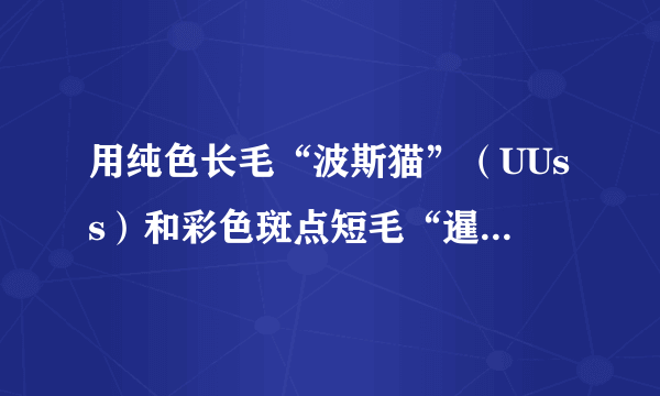 用纯色长毛“波斯猫”（UUss）和彩色斑点短毛“暹罗猫”（uuSS）杂交，可以培育出彩色斑点长毛的“喜马拉雅猫”。 若U、u基因控制纯色和彩色斑点，S、s基因控制短毛和长毛，且两对等位基因分别位于两对同源染色体上。请回答问题：${F}_{1}$的基因型为____，表现型为____。${F}_{2}$中“喜马拉雅猫”的基因型为____，所占的比例为____。${F}_{2}$中还会出现彩色斑点短毛“暹罗猫”，其基因型为____。
