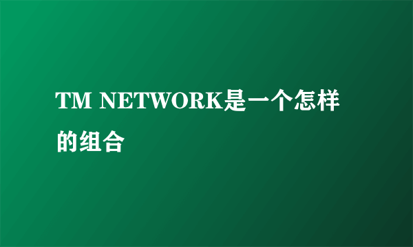 TM NETWORK是一个怎样的组合