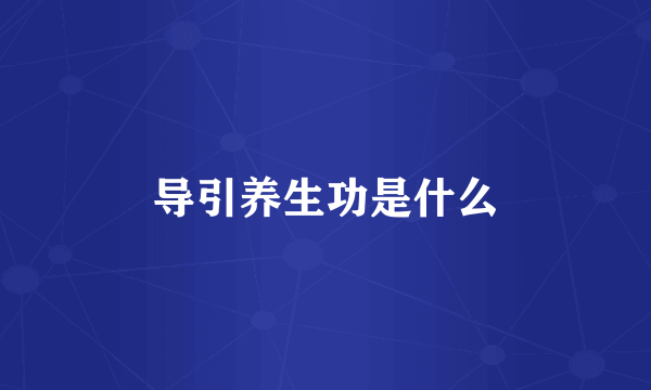 导引养生功是什么