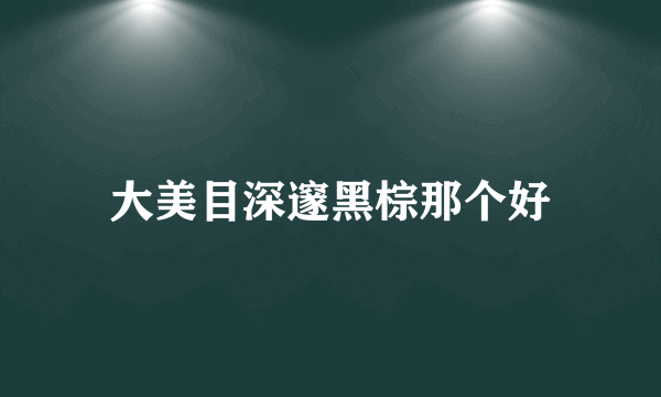 大美目深邃黑棕那个好