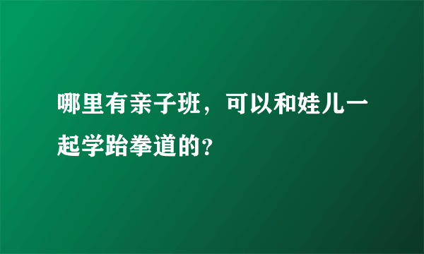 哪里有亲子班，可以和娃儿一起学跆拳道的？
