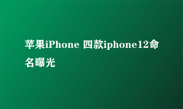 苹果iPhone 四款iphone12命名曝光