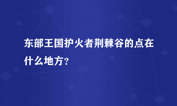 东部王国护火者荆棘谷的点在什么地方？