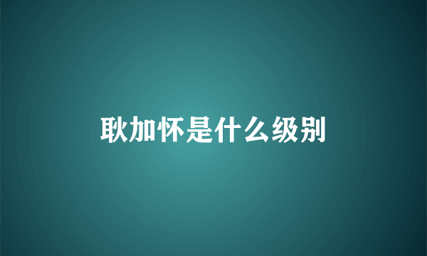 耿加怀是什么级别