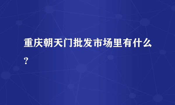 重庆朝天门批发市场里有什么？