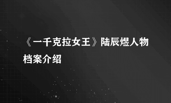 《一千克拉女王》陆辰煜人物档案介绍