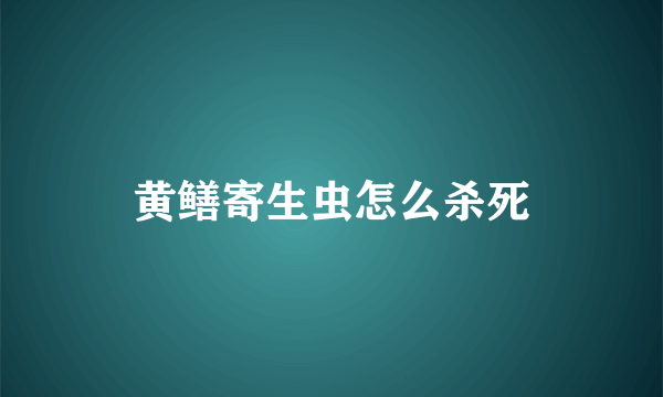 黄鳝寄生虫怎么杀死