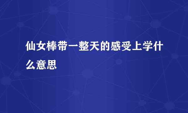 仙女棒带一整天的感受上学什么意思