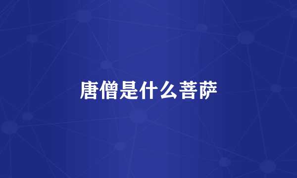 唐僧是什么菩萨