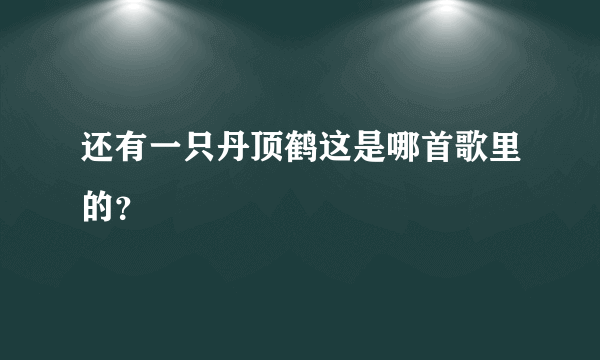 还有一只丹顶鹤这是哪首歌里的？