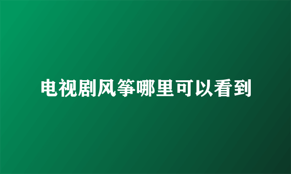 电视剧风筝哪里可以看到