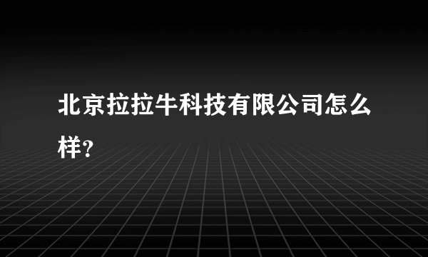 北京拉拉牛科技有限公司怎么样？