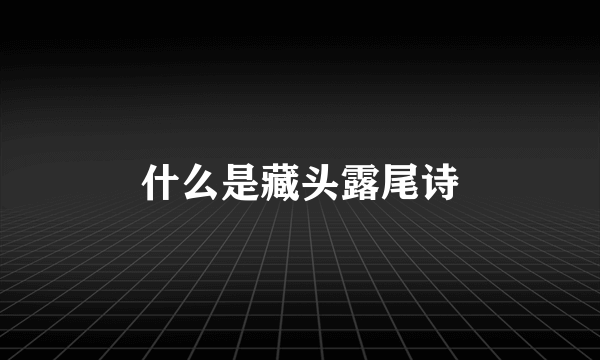 什么是藏头露尾诗