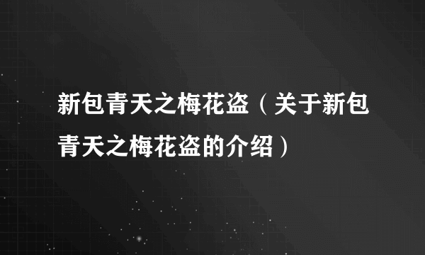新包青天之梅花盗（关于新包青天之梅花盗的介绍）