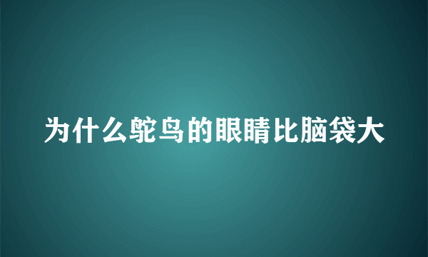 为什么鸵鸟的眼睛比脑袋大