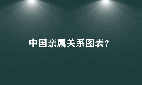 中国亲属关系图表？