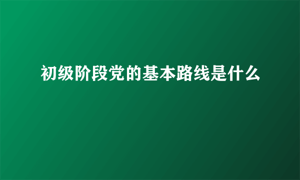 初级阶段党的基本路线是什么