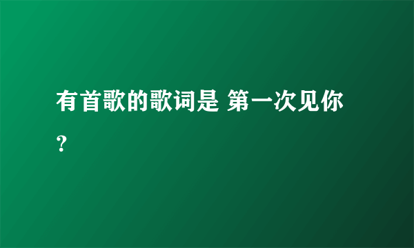有首歌的歌词是 第一次见你？