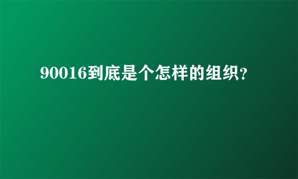 90016到底是个怎样的组织？