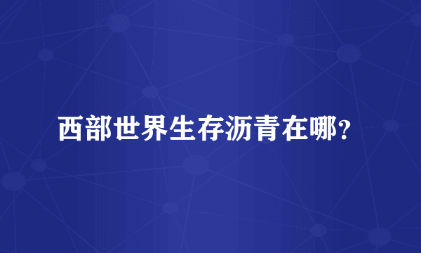 西部世界生存沥青在哪？