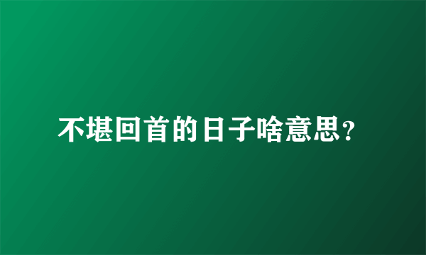 不堪回首的日子啥意思？