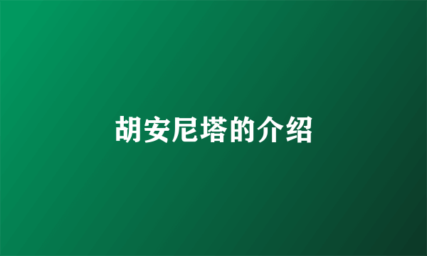 胡安尼塔的介绍