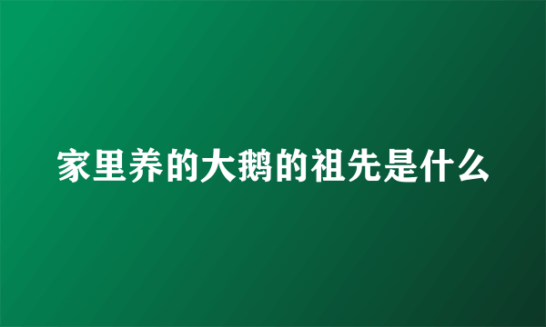家里养的大鹅的祖先是什么