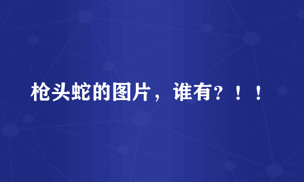 枪头蛇的图片，谁有？！！