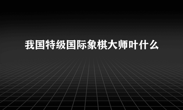 我国特级国际象棋大师叶什么