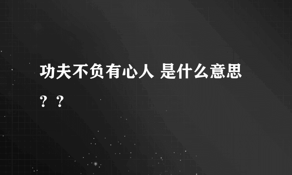 功夫不负有心人 是什么意思？？