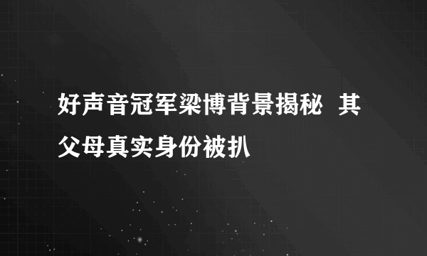 好声音冠军梁博背景揭秘  其父母真实身份被扒