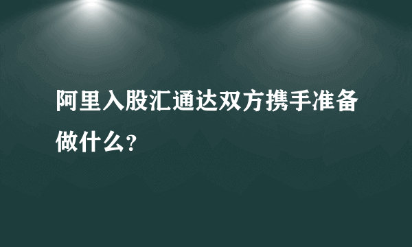 阿里入股汇通达双方携手准备做什么？