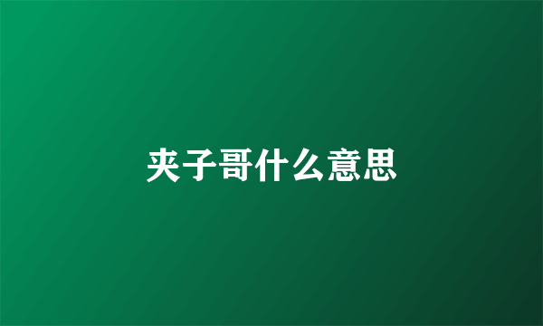 夹子哥什么意思