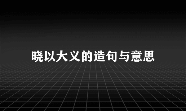 晓以大义的造句与意思