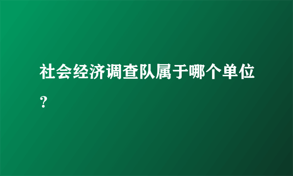 社会经济调查队属于哪个单位？