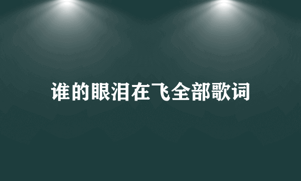 谁的眼泪在飞全部歌词