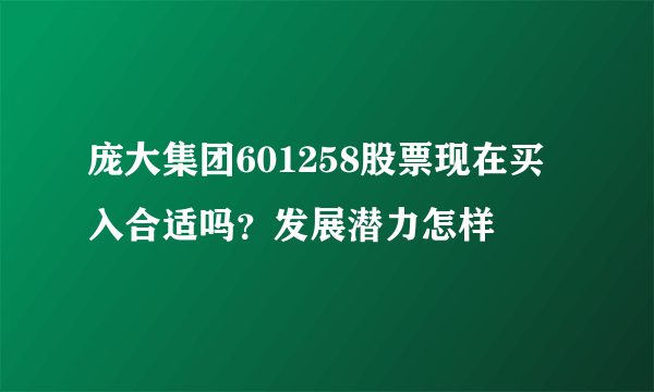 庞大集团601258股票现在买入合适吗？发展潜力怎样