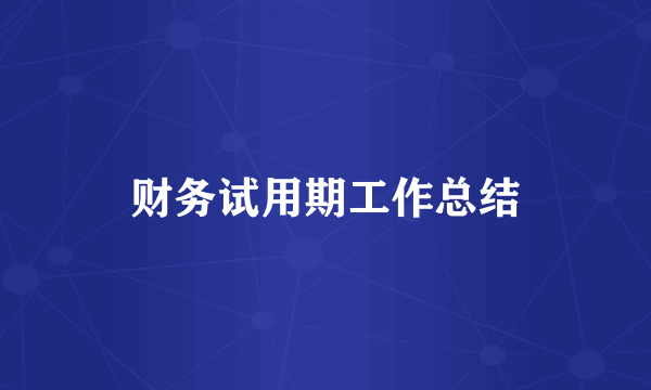 财务试用期工作总结