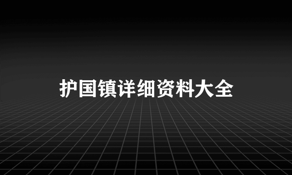 护国镇详细资料大全