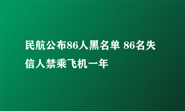 民航公布86人黑名单 86名失信人禁乘飞机一年