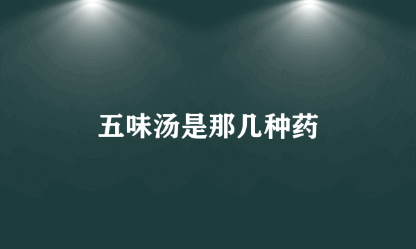 五味汤是那几种药