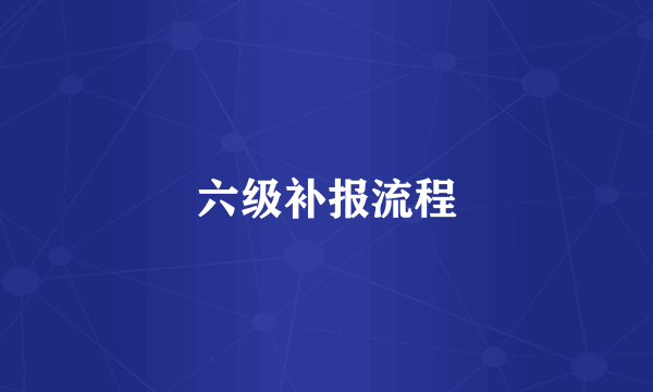 六级补报流程