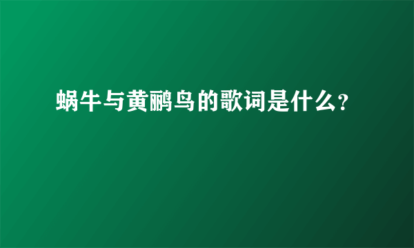 蜗牛与黄鹂鸟的歌词是什么？