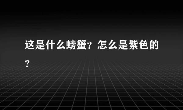 这是什么螃蟹？怎么是紫色的？