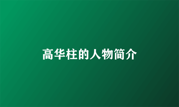 高华柱的人物简介