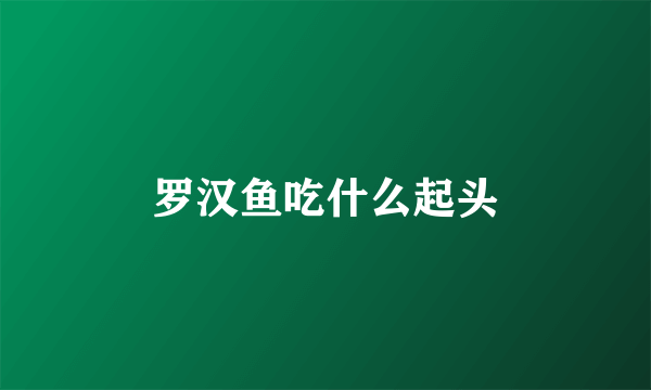 罗汉鱼吃什么起头