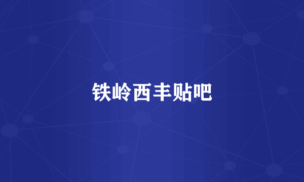 铁岭西丰贴吧